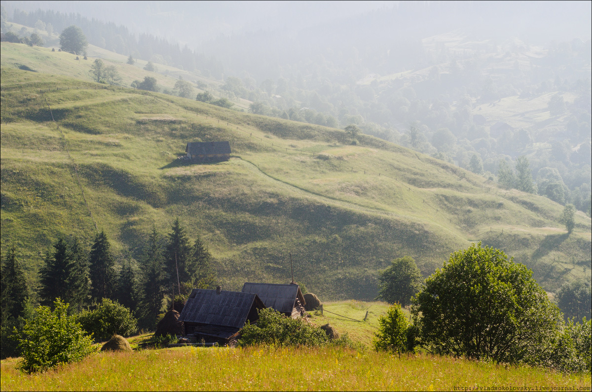 001 ЛУКЬЯНОВКА ТУМАНЫ,ТУМАНЫ (ВЕРНИТЕ МНЕ МАМУ)