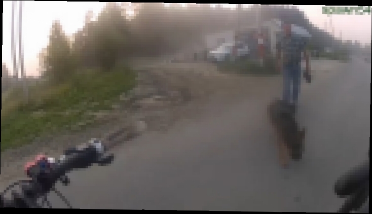 Нападение злой собаки на велосипедиста (осторожно, мат) - видеоклип на песню