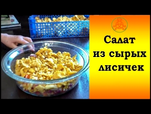 Салат из сырых лисичек. Многолетний опыт. 