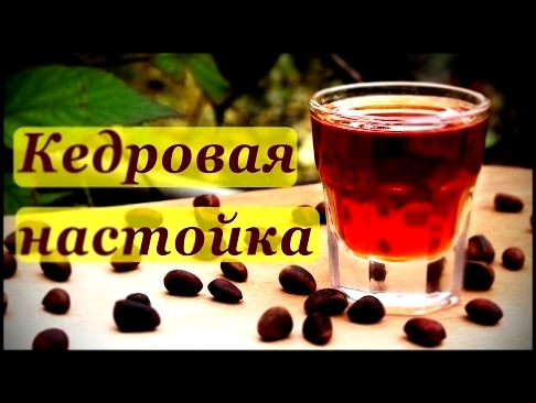 Кедровка, рецепт настойки на кедровых орехах. 