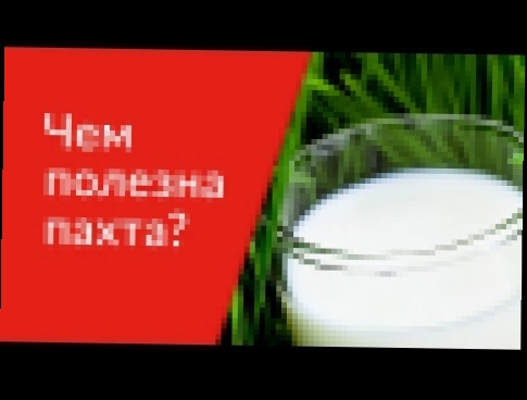 Пахта. Чем полезна пахта? Питание для похудения [Галина Гроссманн] 