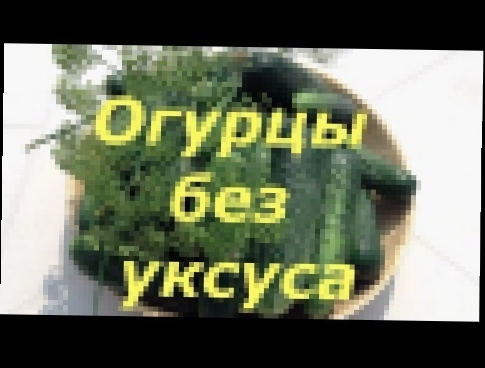 212. Огурцы без уксуса. Хрустят и не взрываются 