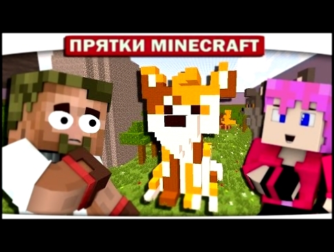 КОТЫ ВОИТЕЛИ!! КТО ОНИ ТАКИЕ?? (Прятки Minecraft) - видеоклип на песню