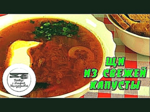 Щи из свежей капусты. Как приготовить самые вкусные щи из свежей капусты. Щи 