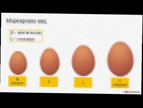 видеоурок Технология приготовления блюд из яиц ДЗ 5 классов по технологии 