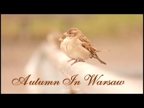 <span aria-label="Autumn In Warsaw (&#xA9;Pi&#x119;kny Kadr by dmalihin) &#x410;&#x432;&#x442;&#x43E;&#x440;: dmalihin &#x413;&#x43E;&#x434; &#x43D;&#x430;&#x437;&#x430;&#x434; 71 &#x441;&#x435;&#x43A;&#x443;&#x43D;&#x434;&#x430; 37 &#x43F;&#x440;&#x43E;& - видеоклип на песню