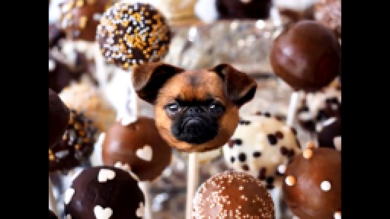 Собаки в еде - забавные картинки, которые сделаны с помощью фотошопа 