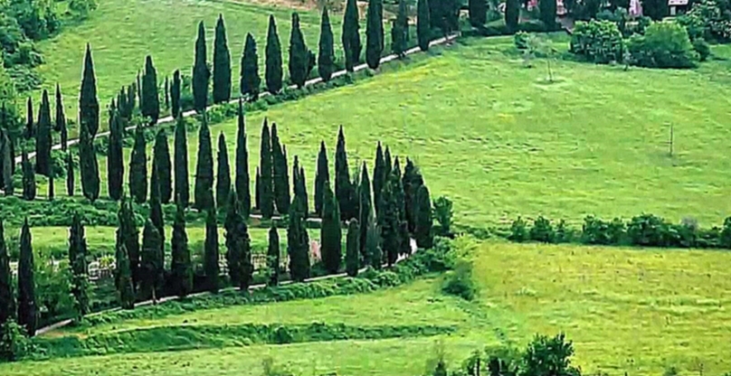 Кипарисовые аллеи в Италии Italy : секрет Кьянти Chianti Тоскана Toscana Италия Italia 