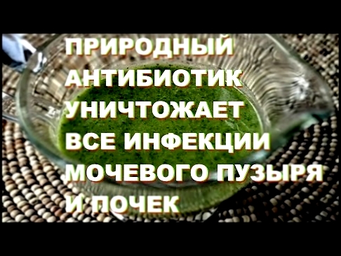 ПРИРОДНЫЙ АНТИБИОТИК УНИЧТОЖАЕТ ВСЕ ИНФЕКЦИИ МОЧЕВОГО ПУЗЫРЯ И ПОЧЕК 