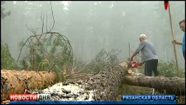 Десантники вырубают леса в Рязанской области - видеоклип на песню