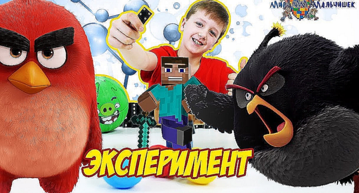 ANGRY BIRDS против Свиней! КИРИЛЛ и СТИВ: эксперимент с цепной реакцией! - видеоклип на песню