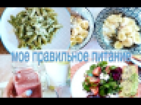 ЧТО Я ЕМ? ПОЛЕЗНЫЕ РЕЦЕПТЫ FOODBOOK 