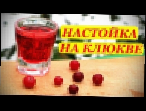 Настойка на клюкве, домашний рецепт 