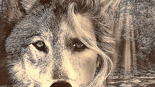 Агни де Рока ϟ – Одиноким волком  - видеоклип на песню