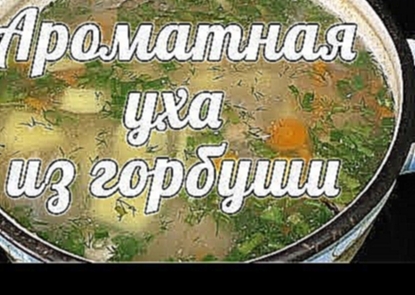 Уха из горбуши. ОЧЕНЬ ВКУСНАЯ! 