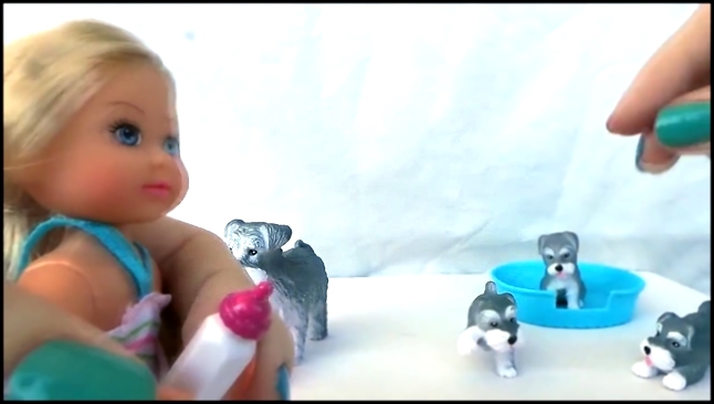 Развивающий мультфильм с куклой Эви Лав (Evi Love Animal Friends). Собака и щенки. Куклы для детей. - видеоклип на песню