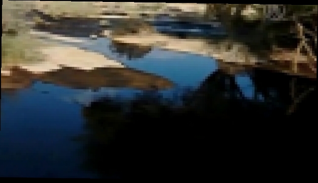 В Израиле откачивают разлившуюся по пустыне нефть - видеоклип на песню