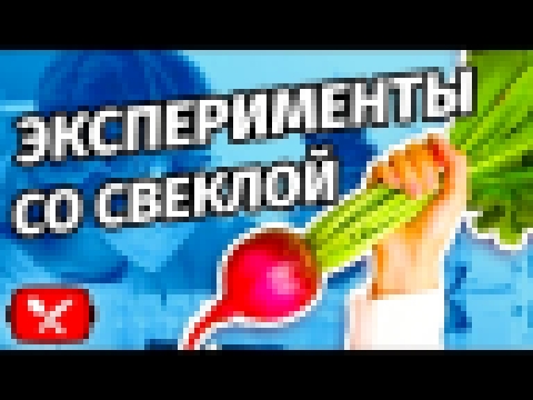 Просто праздник для живота / 3 РЕЦЕПТА из Свеклы 