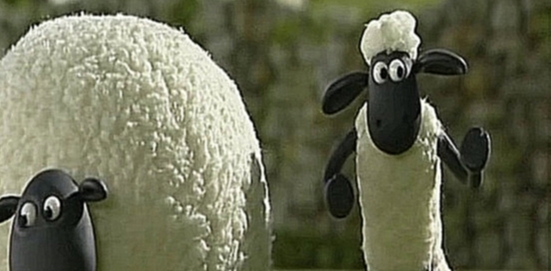 Барашек Шон / Shaun the Sheep: серия 6. Воздушный змей The Kite 