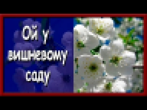 Українська народна пісня. Ой у вишневому саду - видеоклип на песню