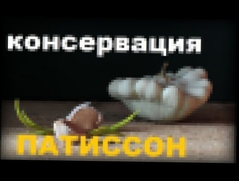 <span aria-label="&#x417;&#x430;&#x43A;&#x443;&#x441;&#x43A;&#x430; &#x418;&#x437; &#x411;&#x430;&#x43A;&#x43B;&#x430;&#x436;&#x430;&#x43D;&#x43E;&#x432; &#x418;&#x43B;&#x438; 