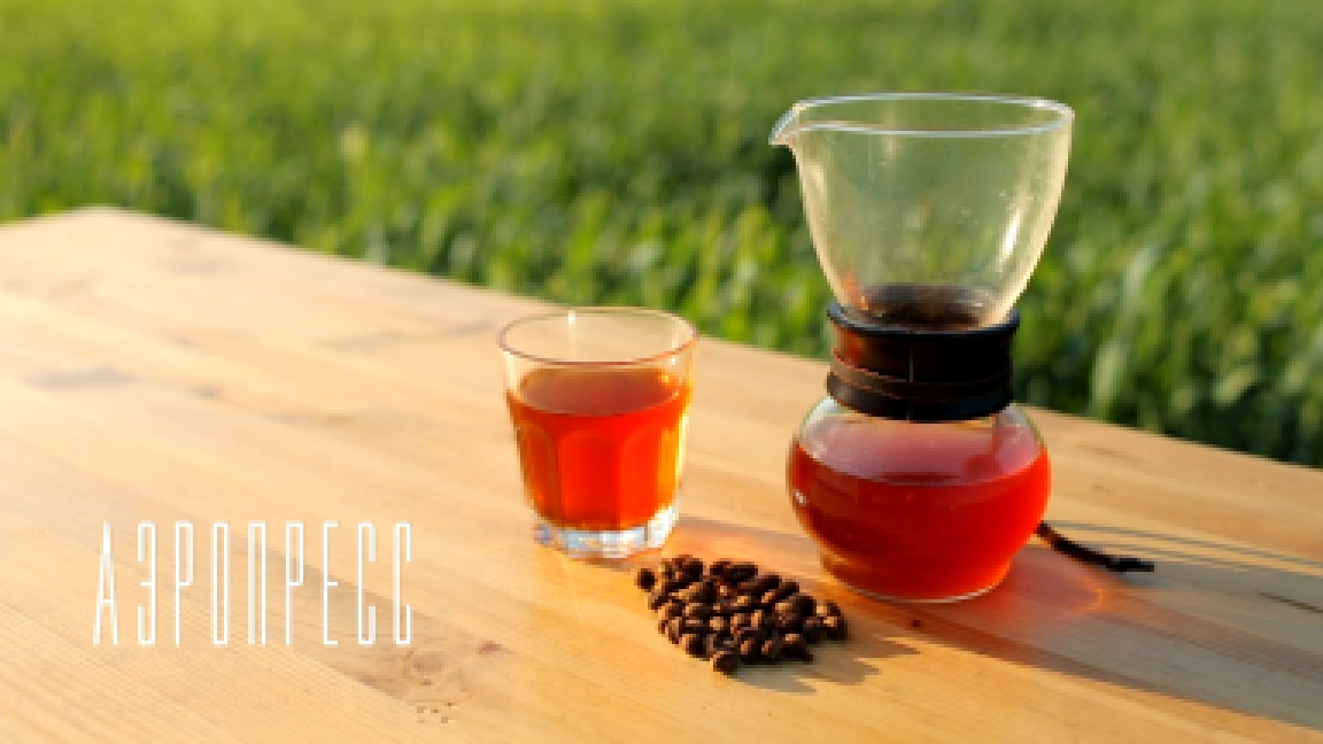 Как правильно заваривать кофе: Аэропресс [Cheers! | Напитки] 