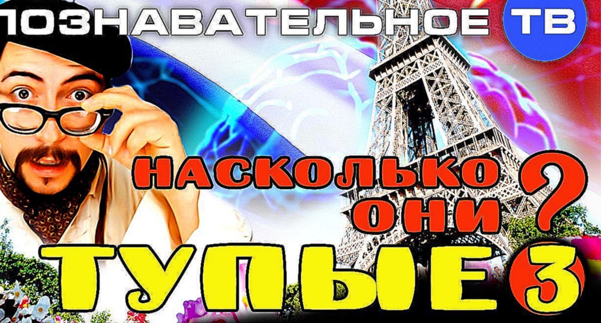 Насколько они тупые 3 (Познавательное ТВ, Елена Рычкова) - видеоклип на песню