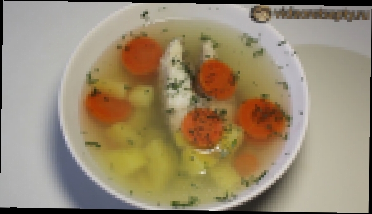 Уха из щуки - Fish soup 