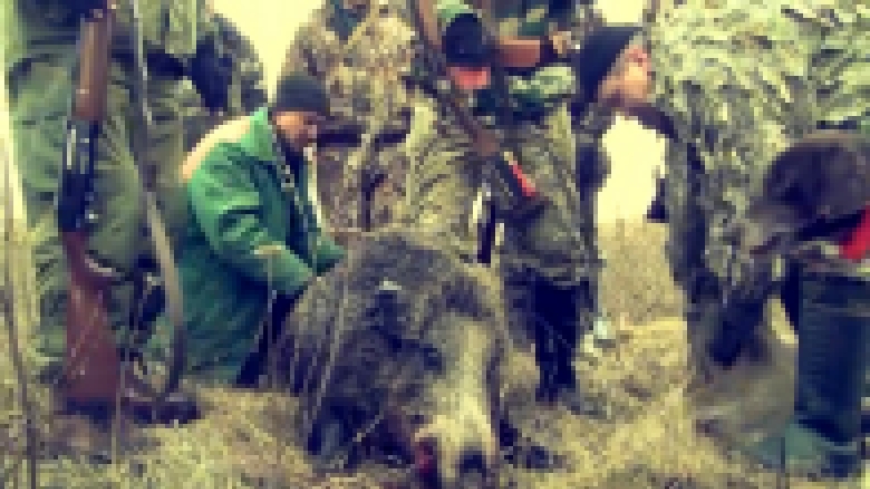 Закрытие сезона охоты на кабана и косулю - 2014. Украина  