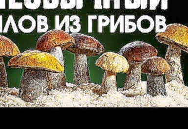 Плов с грибами / Сталик Ханкишиев Казан-Мангал 