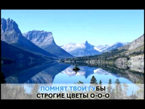 «Желтые тюльпаны», Королева Наташа: караоке и текст песни - видеоклип на песню