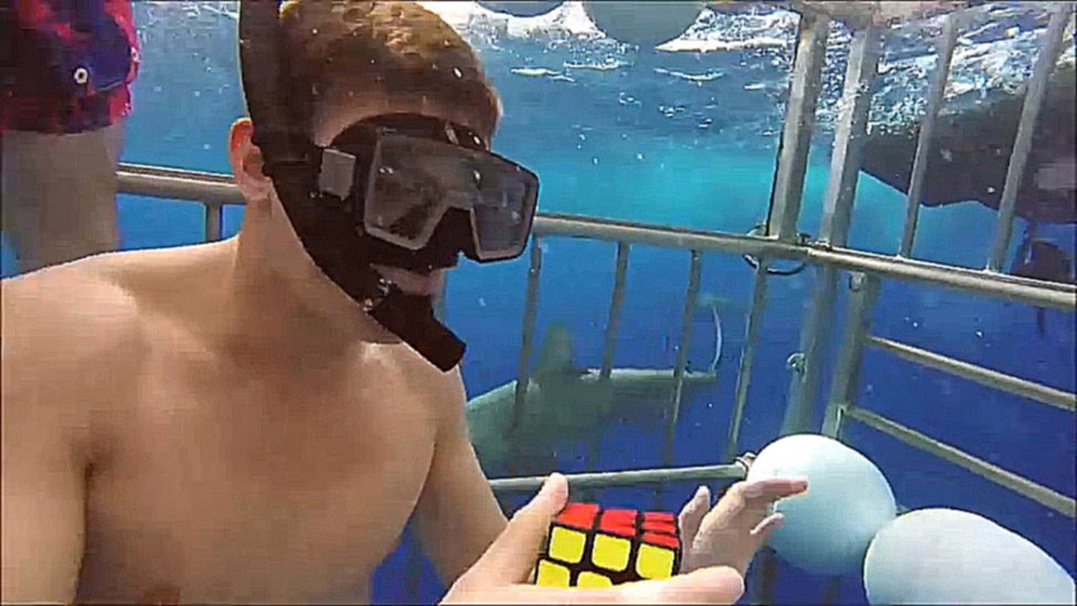 Собрал кубик Рубика за 15 секунд. Под водой. С акулами 