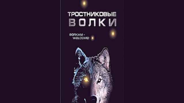 Дмитрий Савочкин  - Тростниковые волки  [  Фантастика. Андрей Кравец  ] - видеоклип на песню