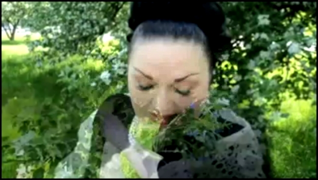 Ой, цветёт калина - видеоклип на песню