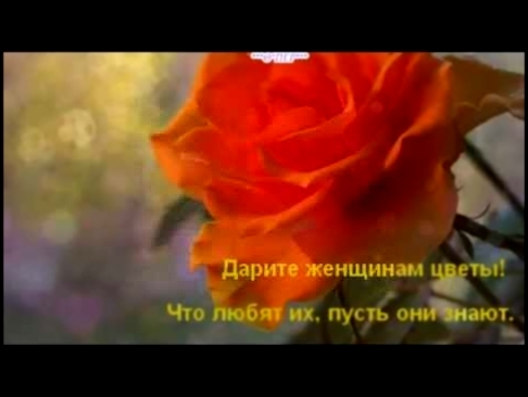 Виват Басов    Дарите женщинам цветы! - видеоклип на песню