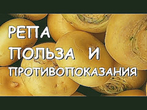 Репа. Польза и вред для здоровья. 