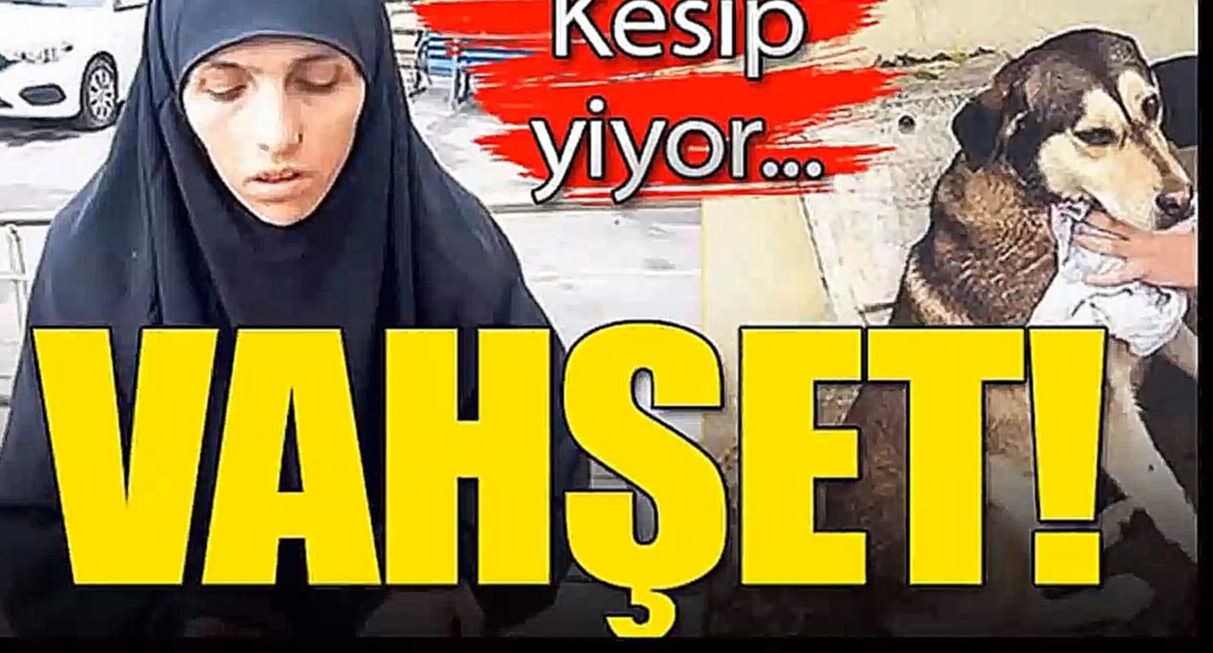 fatma çörekçi seni kaçkez uyardım kaplumbağa kedi köpek kesmeyi bırak diye şimdi hapiste çürüyecen - видеоклип на песню