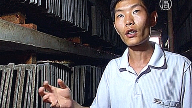 Китаец открыл тараканью ферму - видеоклип на песню