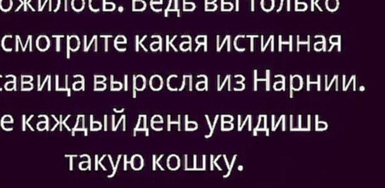 Кто бы мог подумать! Редкий котёнок-химера превратился в самую красивую кошку на свете - видеоклип на песню