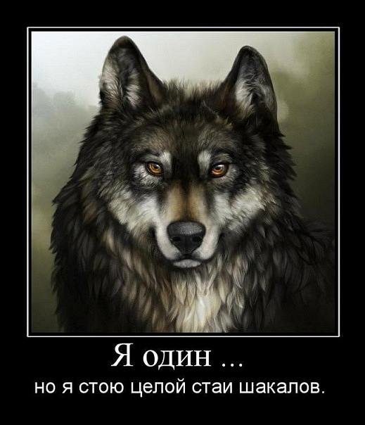 Александр Сотник Одинокий волк