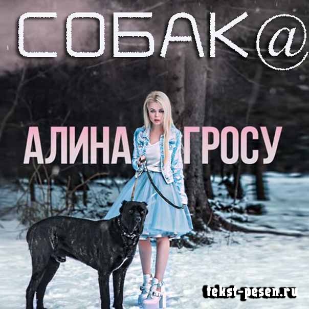 Алина Гросу я любила свою собаку