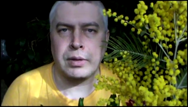 Цветы мимоза, гиацинт к восьмому марту — Геннадий Горин 