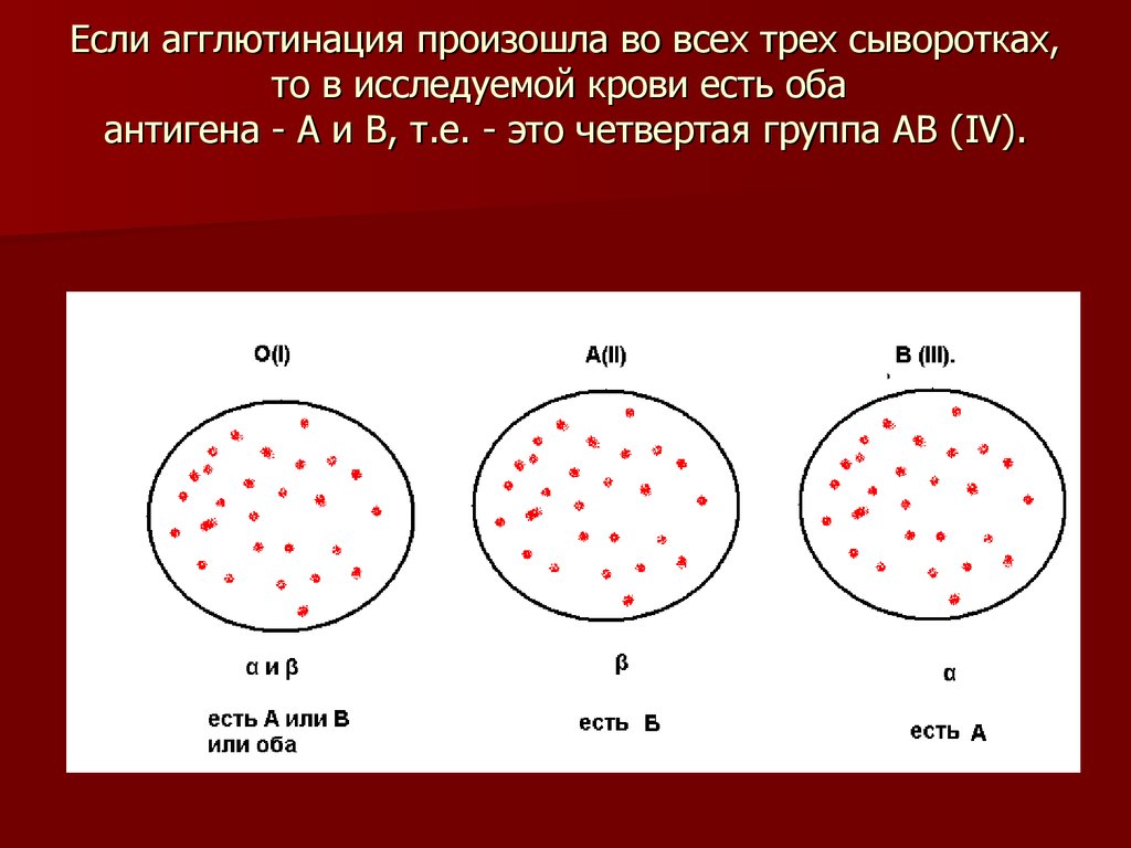 Б.Г.Ю. Группа крови