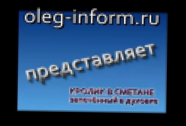 Тушеный кролик в сметане от oleg-inform.ru 