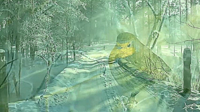Снежный вальс - видеоклип на песню