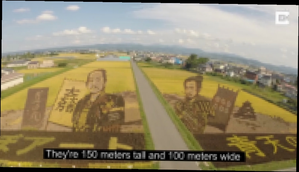 Японские фермеры рисуют на рисовых полях 