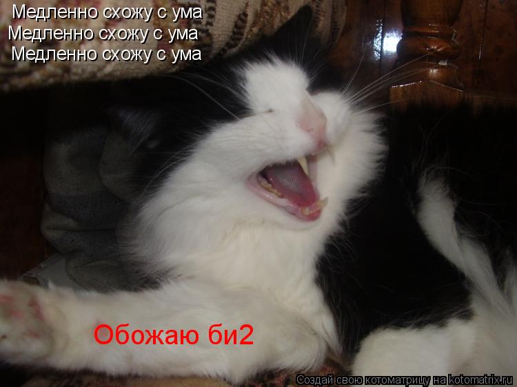 Би-2 Медленно схожу с ума Би-2 Медленно схожу с ума