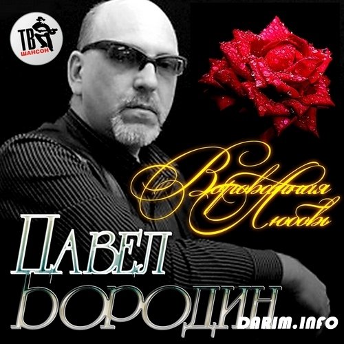 Бородин Павел Ворованная любовь