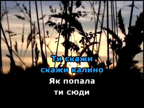 ПРИ ДОЛИНІ КУЩ КАЛИНИ КАРАОКЕ гурт ЕКСПРЕС - видеоклип на песню