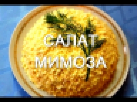 Салат Мимоза. Простые рецепты салатов 